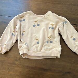 Zara blueberry sweatshirt toddler 3-4Y